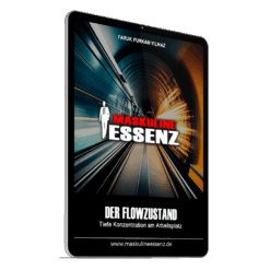 Der Flowzustand: Tiefe Konzentration am Arbeitsplatz inkl. Silber-Mitgliedschaft